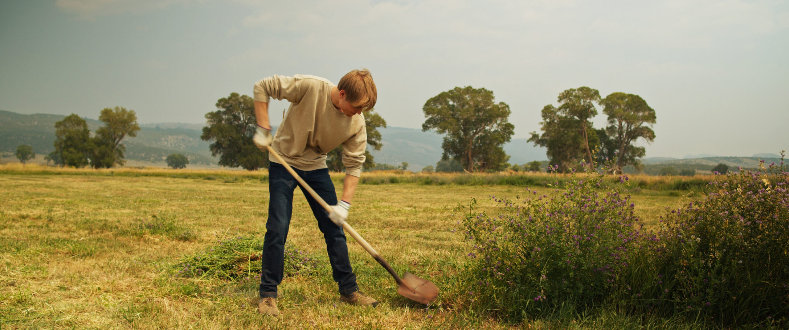 The Summer Field_Still_2