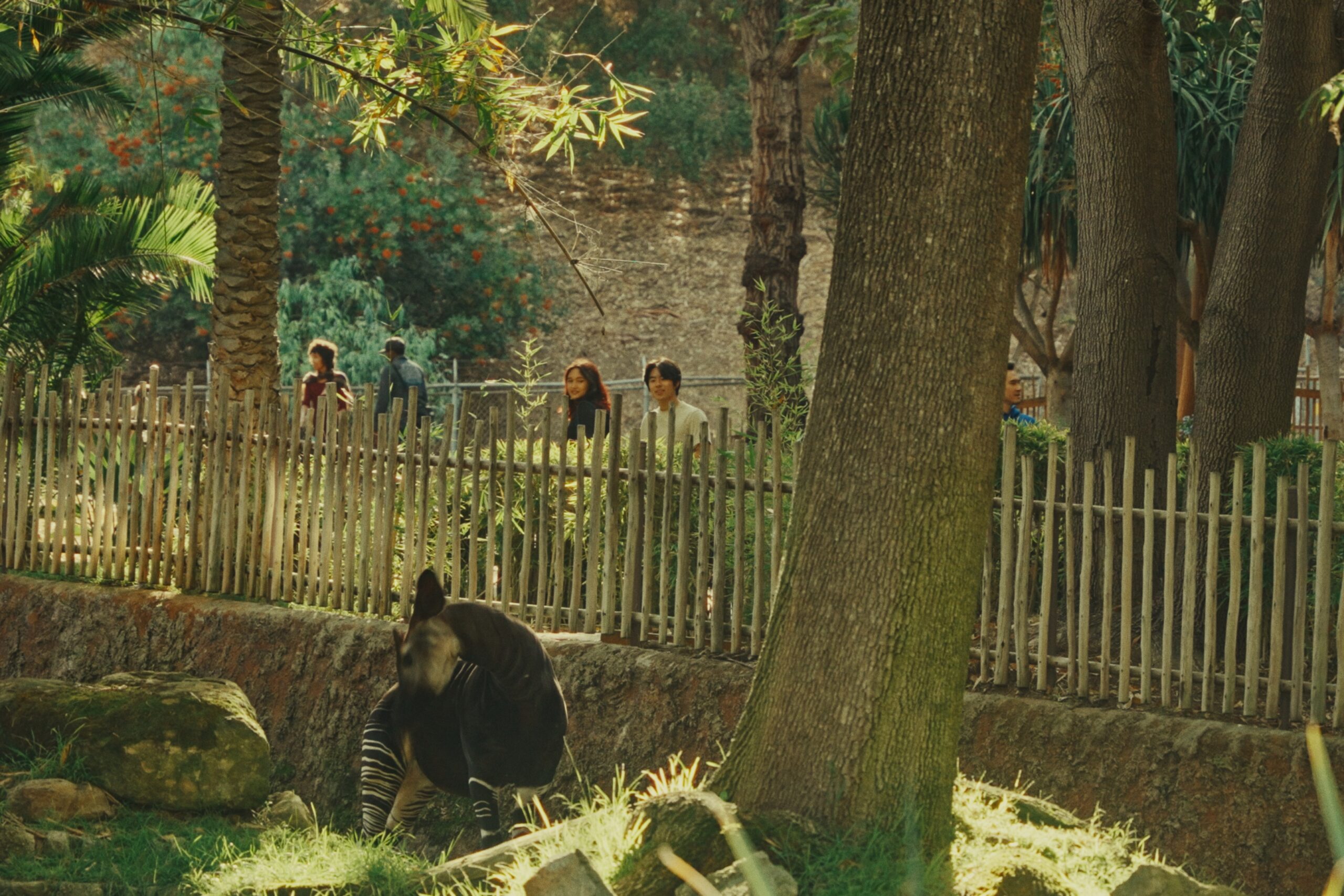 Still 2026-01-15 083409_1.141.1