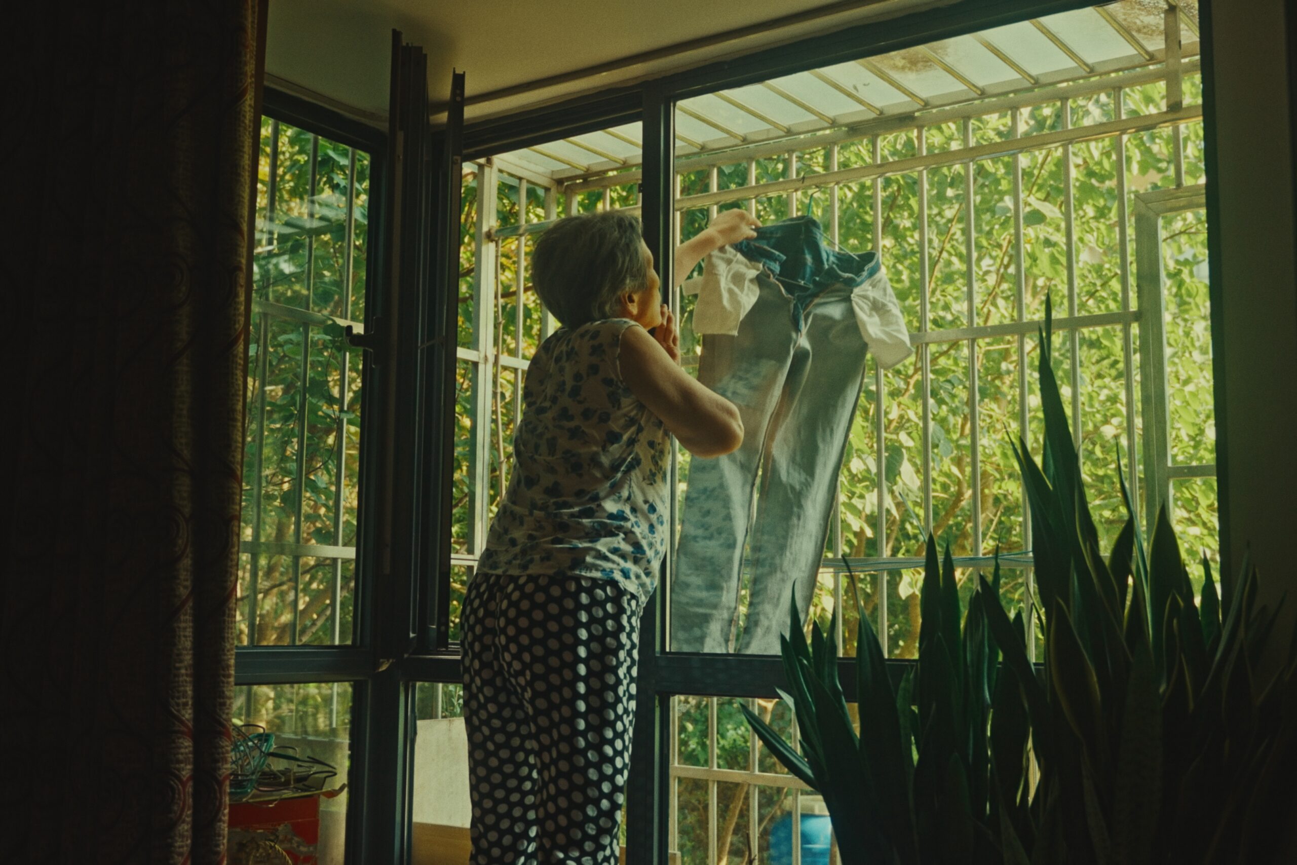 Still 2026-01-15 083409_1.37.1